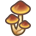 Skinny Mushroom